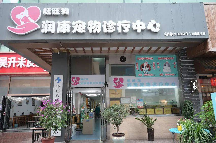 深圳罗湖瑞鹏宠物医院养宠物能从三方面给宠物用品提供一个一站式购买渠道
