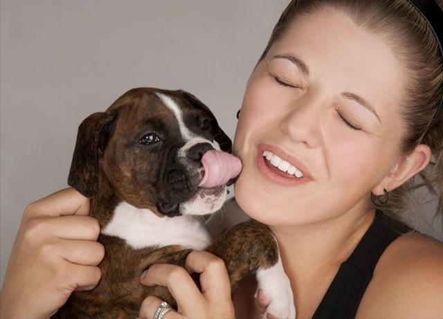 【宠物经验】狗狗会舔地吃东西，是什么原因？