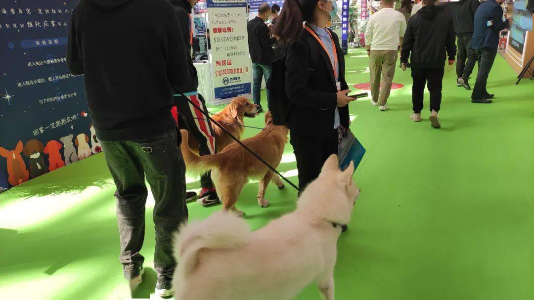宠物行业新闻 | 御宠食品将亮相第24届亚洲宠物展；2022高交会用超萌科技